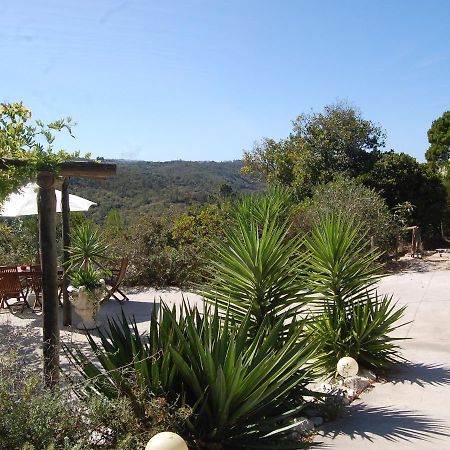 אלקובאקה A Perfect Villa With Pool Terrace And Garden מראה חיצוני תמונה