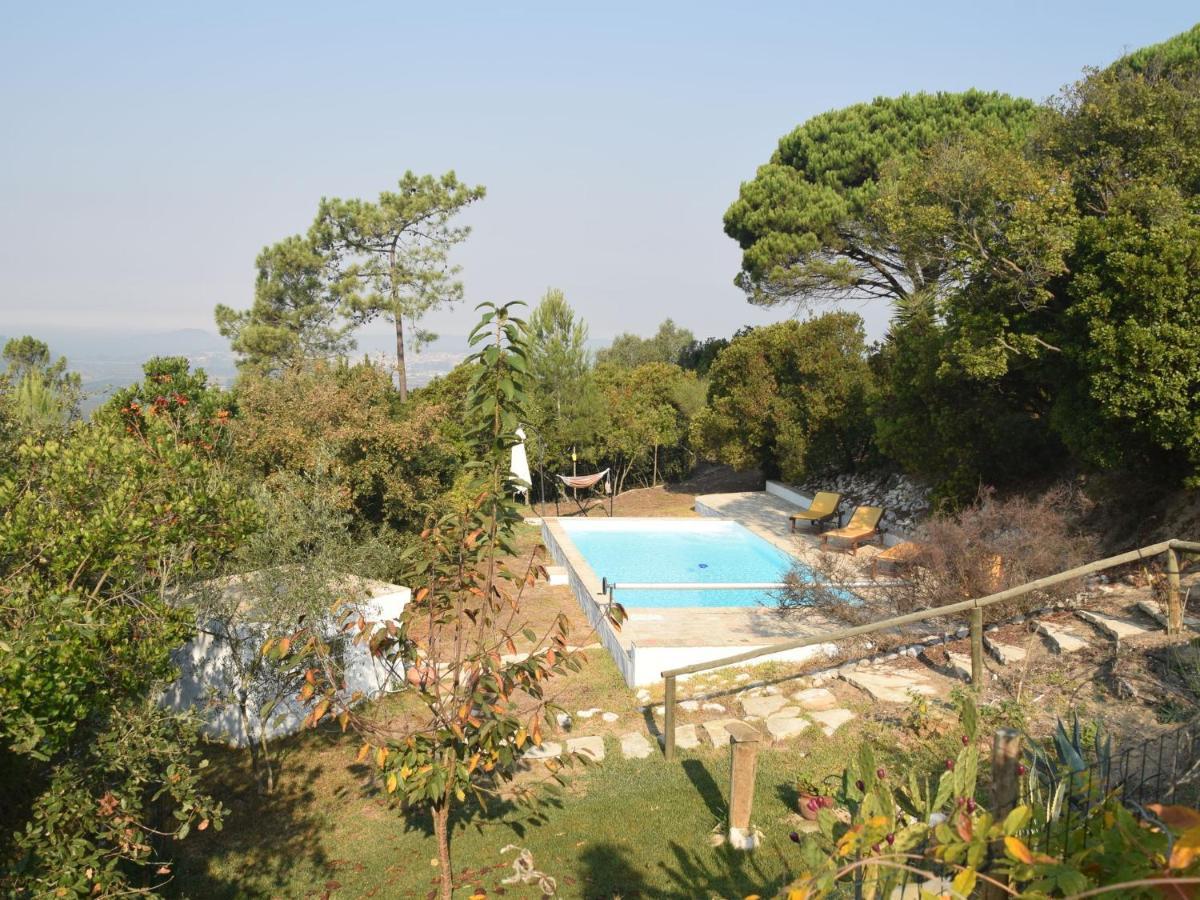 אלקובאקה A Perfect Villa With Pool Terrace And Garden מראה חיצוני תמונה