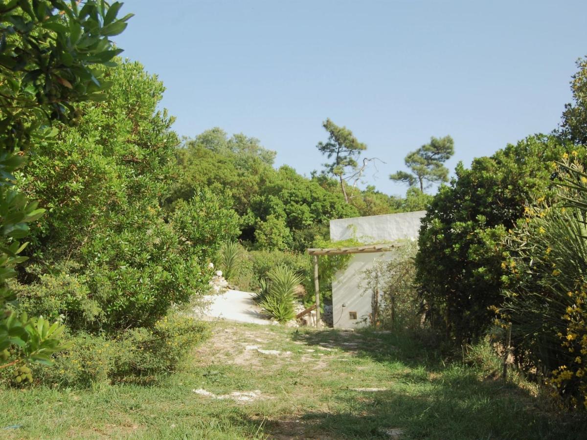 אלקובאקה A Perfect Villa With Pool Terrace And Garden מראה חיצוני תמונה