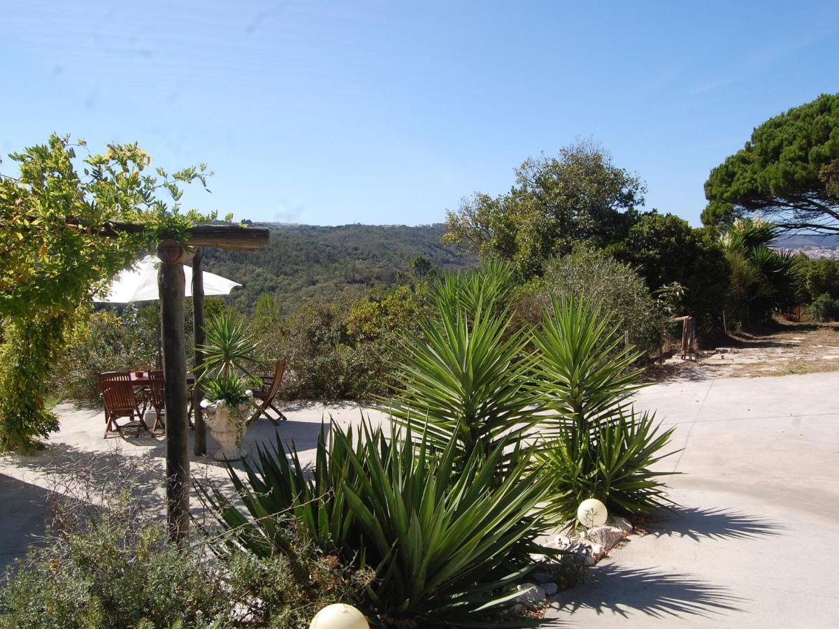 אלקובאקה A Perfect Villa With Pool Terrace And Garden מראה חיצוני תמונה